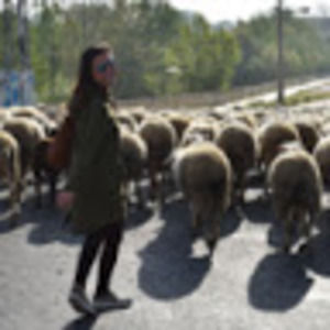 Meet your Posher, Eden